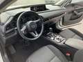 Mazda CX-30 e-Skyactive G122 Homura Aut. Weiß - thumbnail 9