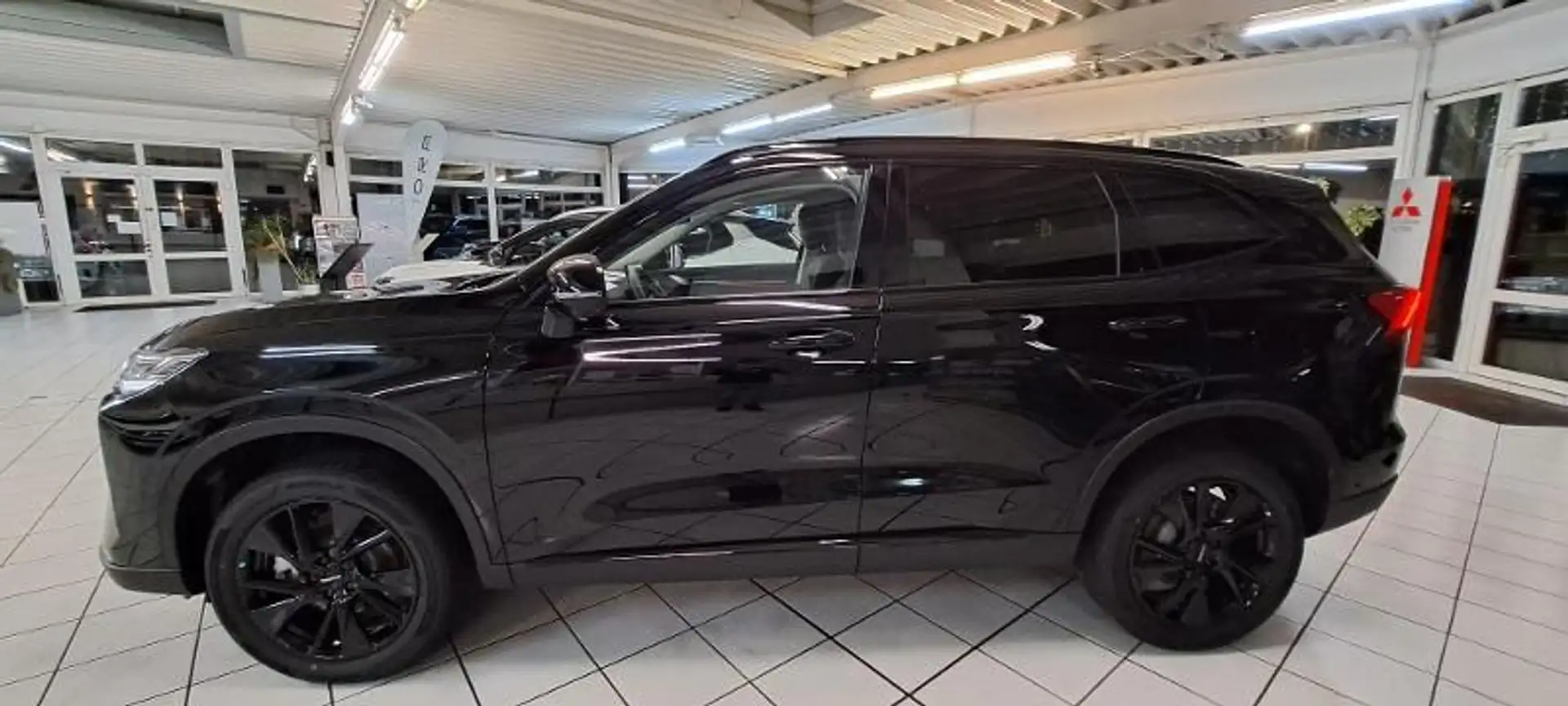 GWM Sonstige Schwarz - 1