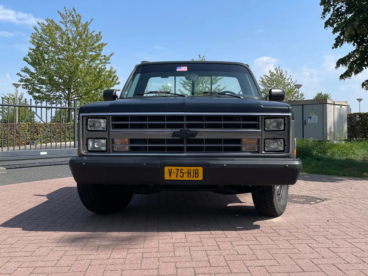 Chevrolet C20 Сірий - 2