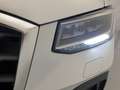 Audi Q2 30 2.0 tdi business s tronic Blanco - thumbnail 8
