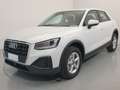 Audi Q2 30 2.0 tdi business s tronic Blanco - thumbnail 1