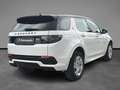 Land Rover Discovery Sport 2.0 TD4 163 CV AWD Auto R-Dynamic SE Bianco - thumbnail 5