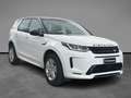 Land Rover Discovery Sport 2.0 TD4 163 CV AWD Auto R-Dynamic SE Bianco - thumbnail 6