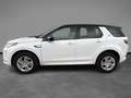 Land Rover Discovery Sport 2.0 TD4 163 CV AWD Auto R-Dynamic SE Bianco - thumbnail 2