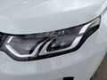 Land Rover Discovery Sport 2.0 TD4 163 CV AWD Auto R-Dynamic SE Bianco - thumbnail 8