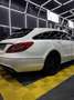 Mercedes-Benz CLS 350 Shooting Brake CDI 7G-TRONIC Edition - thumbnail 3