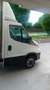 Iveco Daily frigo - thumbnail 4