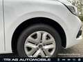 Renault Kangoo E-TECH Kangoo E-Tech Techno Winter+Kompakt +Safety-Pake Blanc - thumbnail 13