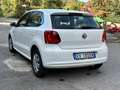 Volkswagen Polo Polo 5p 1.2 tdi Tech Bianco - thumbnail 7