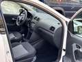Volkswagen Polo Polo 5p 1.2 tdi Tech Bianco - thumbnail 12