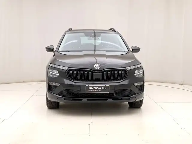Skoda Kamiq view 2