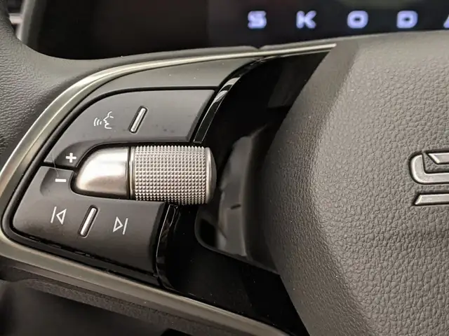 Skoda Kamiq view 10
