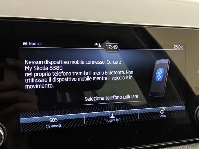 Skoda Kamiq view 14