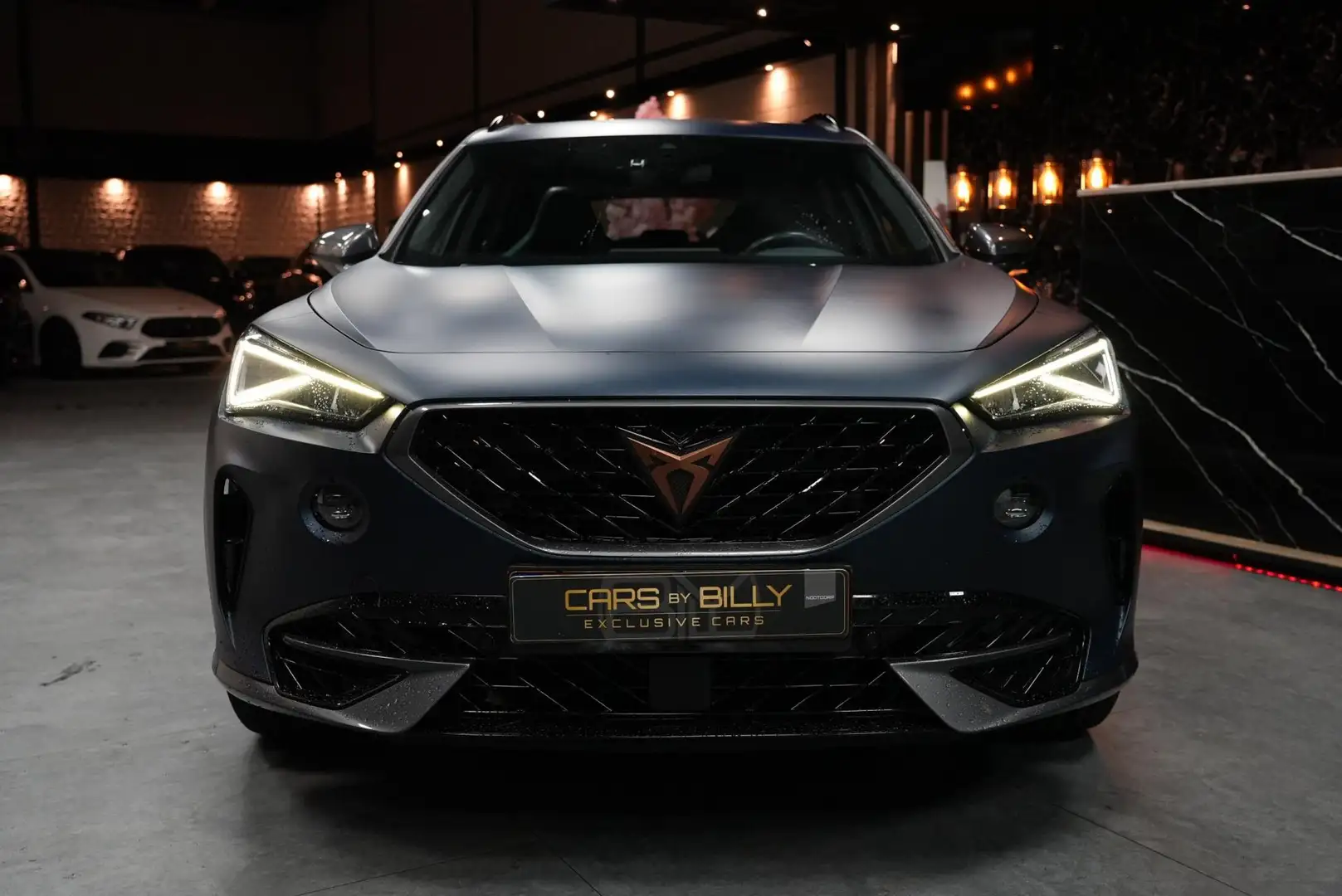 CUPRA Formentor VZ 2.0 TSI QUATTRO|PANO|LEDER|FULL Bleu - 2