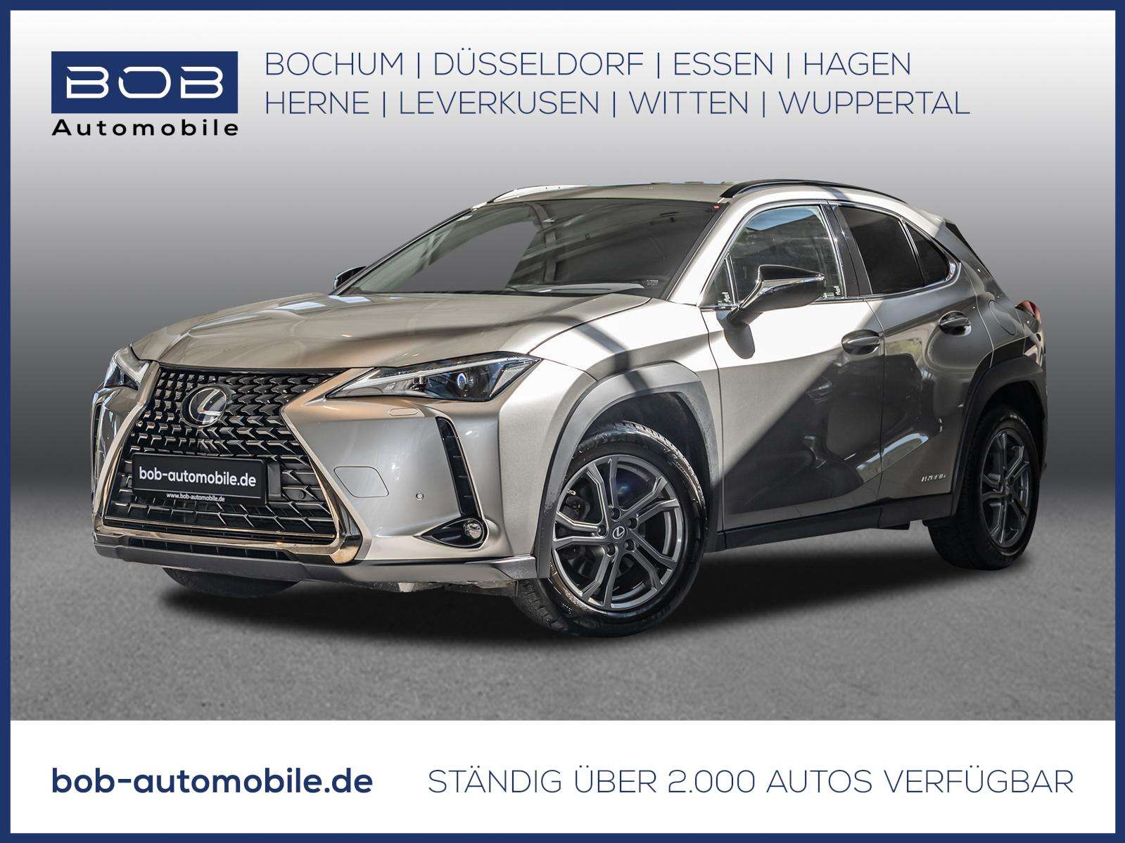 2021 Lexus UX250