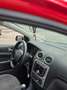 Ford Focus 1.6 Trend Rouge - thumbnail 15