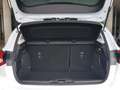 Ford Focus Active Navi Kamera AHK abn Winterp. 1 Hand Weiß - thumbnail 13
