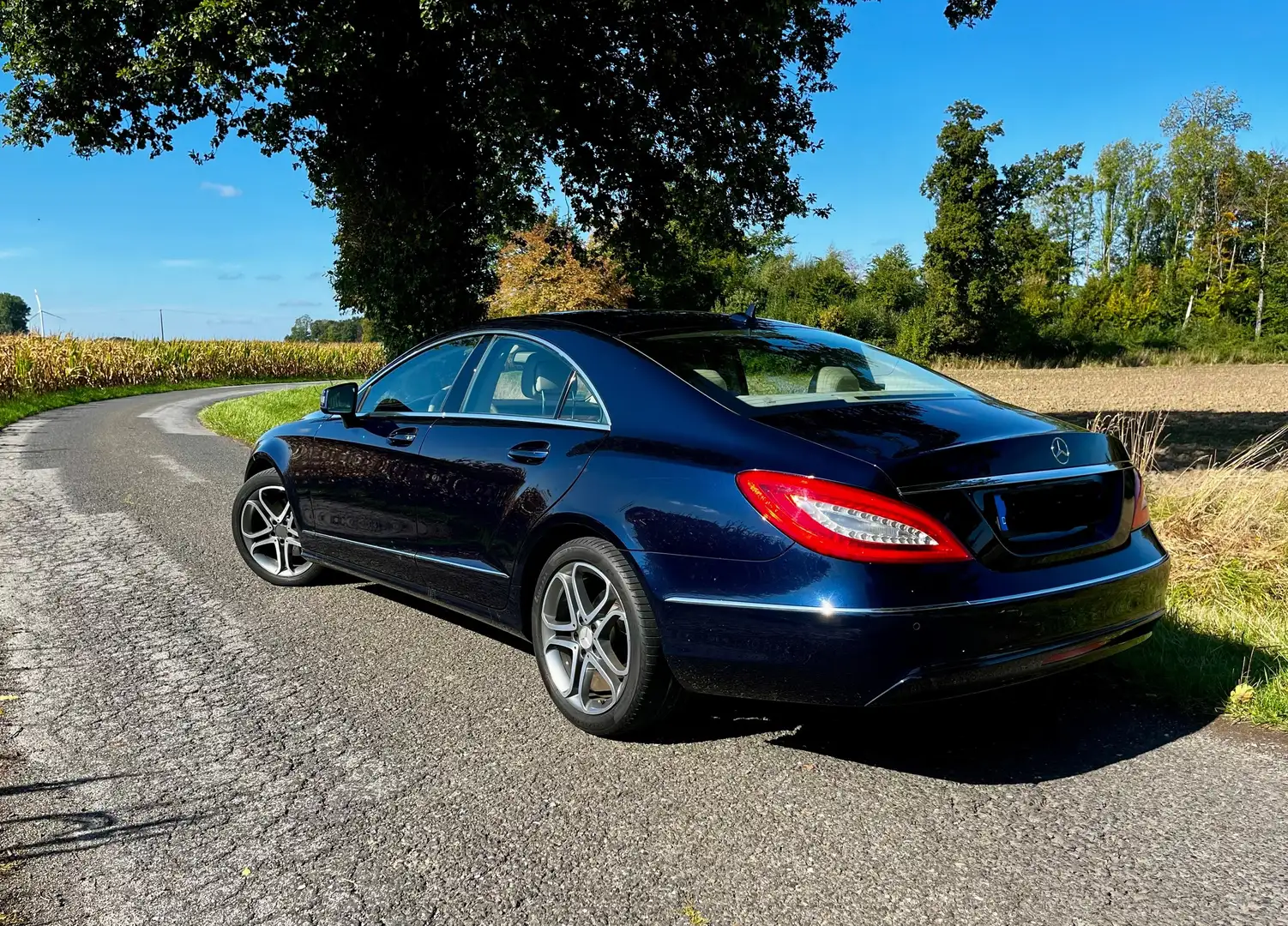 Mercedes-Benz CLS 350 CLS Coupe Diesel BlueTEC 7G-TRONIC Blau - 2