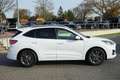 Ford Kuga 1.5 EcoBlue ST-Line VC LED Navi Kamera Weiß - thumbnail 5