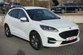 Ford Kuga 1.5 EcoBlue ST-Line VC LED Navi Kamera Weiß - thumbnail 4