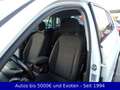 Volkswagen Tiguan 2.0 TSI DSG 4MOTION SOUND Blanc - thumbnail 6