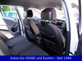 Volkswagen Tiguan 2.0 TSI DSG 4MOTION SOUND Blanc - thumbnail 14