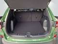 Ford Kuga 2.5 FHEV TITANIUM *neues Modell* Grün - thumbnail 13