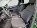 Ford Kuga 2.5 FHEV TITANIUM *neues Modell* Grün - thumbnail 6