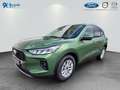 Ford Kuga 2.5 FHEV TITANIUM *neues Modell* Grün - thumbnail 1