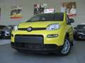 Fiat Panda 1.0 FireFly S&S Hybrid Geel - thumbnail 2