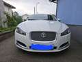 Jaguar XF 3.0 V6 Diesel Blanc - thumbnail 1