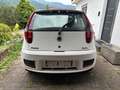 Fiat Punto Punto  3-Türer 1.4 16V Sporting White - thumbnail 1