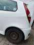 Fiat Punto Punto  3-Türer 1.4 16V Sporting Blanc - thumbnail 18