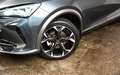 CUPRA Formentor Formentor 1.5 TSI DSG V Gris - thumbnail 6