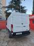 Ford Transit FT 350 L2 Van Ambiente 130 Blanco - thumbnail 7