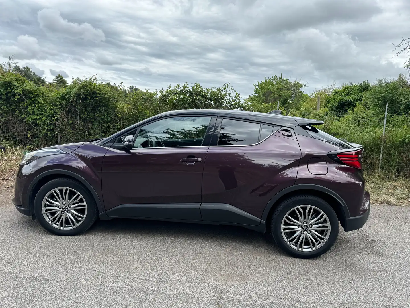 Toyota C-HR C-HR I 2020 2.0h Lounge e-cvt Mauve - 1