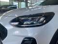 Ford Fiesta Active 1,0 EcoBoost Start/Stop Weiß - thumbnail 4