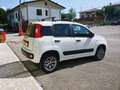 Fiat Panda Panda 0.9 t.air t. 4x4 s&s Blanc - thumbnail 5
