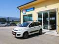 Fiat Panda Panda 0.9 t.air t. 4x4 s&s Blanc - thumbnail 1