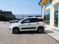 Fiat Panda Panda 0.9 t.air t. 4x4 s&s Blanc - thumbnail 3