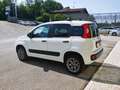 Fiat Panda Panda 0.9 t.air t. 4x4 s&s Blanc - thumbnail 6