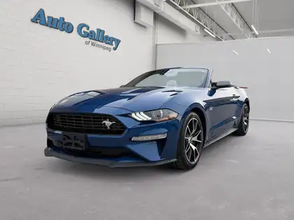 Blue 2022 Ford Mustang EcoBoost Convertible RWD Convertible Rear-Wheel Drive 6-Speed Manual