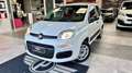 Fiat Panda 1.2 Benzina 69CV S&S Easy +Neopatentato Blanc - thumbnail 1