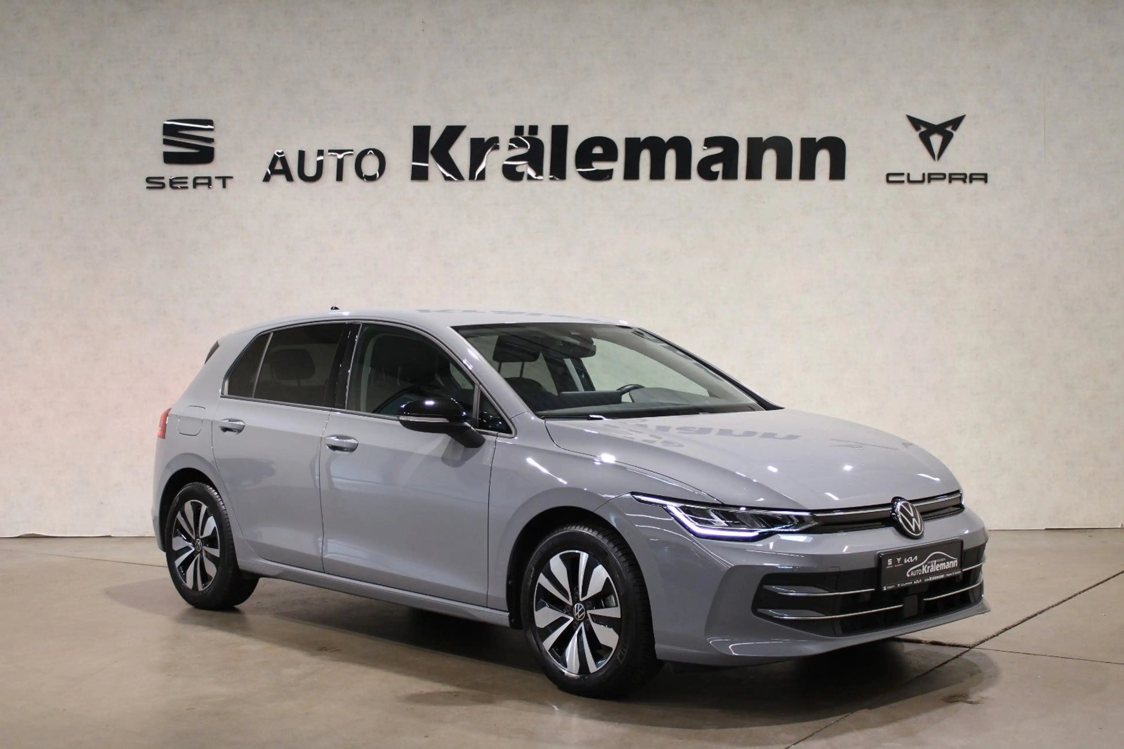 Volkswagen Golf VIII 1.5 TSI Goal*LED*ACC*AppConnect*