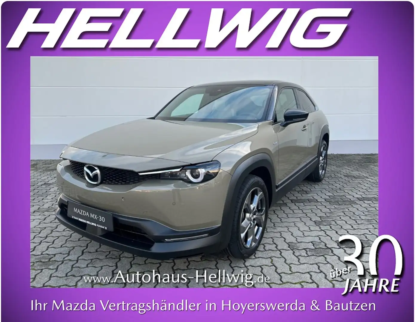 Mazda MX-30 e-SKYACTIV Advantage Industrial Vintage Grün - 1