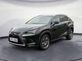 Lexus NX 300 300h Executive Line Navi Leder LED Kamera Schwarz - thumbnail 1