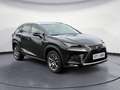 Lexus NX 300 300h Executive Line Navi Leder LED Kamera Schwarz - thumbnail 2