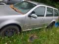 Volkswagen Golf Golf TDI 4motion Silber - thumbnail 2