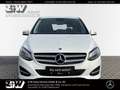 Mercedes-Benz B 200 B 200 URBAN*NAVI*KEYLESS-GO*CALCITWEISS Navi/Klima Weiß - thumbnail 7