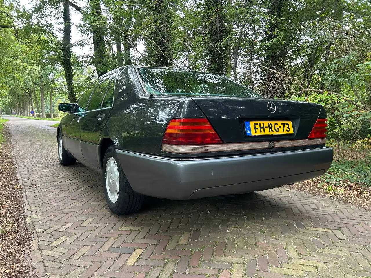 Mercedes-Benz S 300 300 SE W140, foto 9